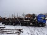 Pojazd leśny Scania R420 LA6x4,návěs Svan |  Technika transportowa i manipulacyjna | Maszyny do obróbki drewna | JANEČEK CZ 